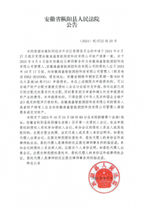 安徽海盛智能测控科技有限公司破产债权申报的公告