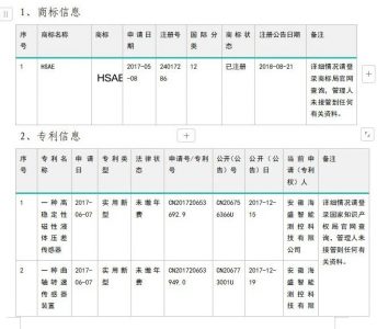 安徽海盛智能测控科技有限公司破产清算案遴选无形资产评估机构公告